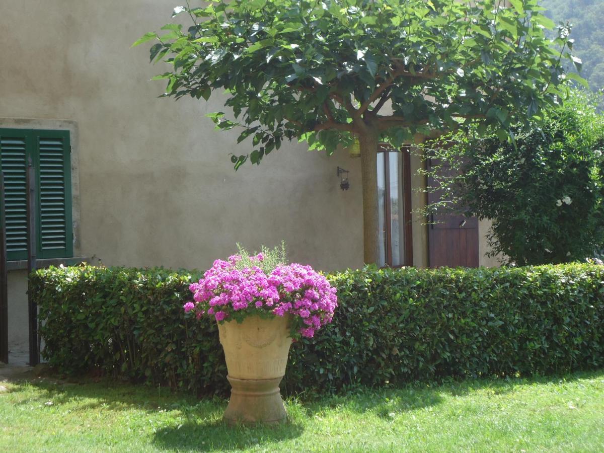 Villa Di Papiano 산바론토 외부 사진