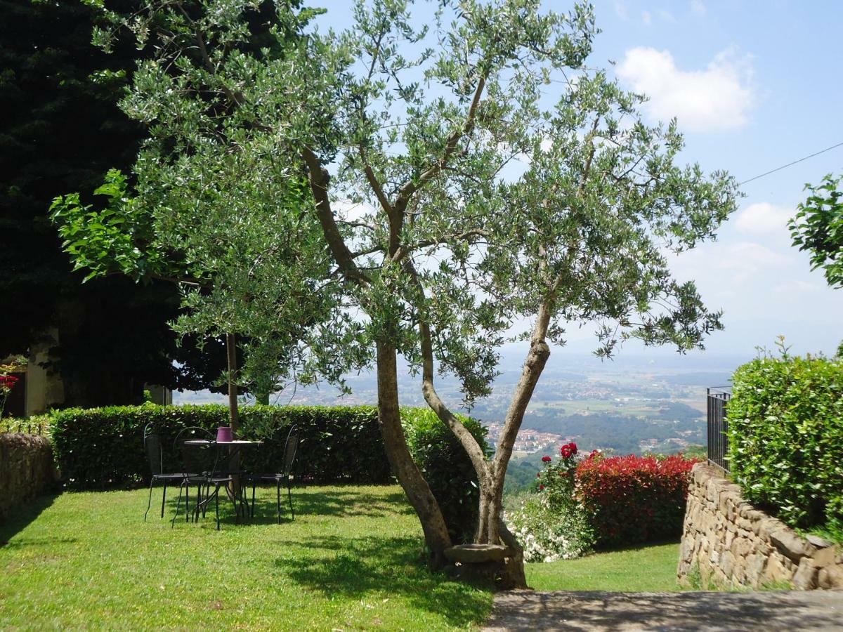 Villa Di Papiano 산바론토 외부 사진